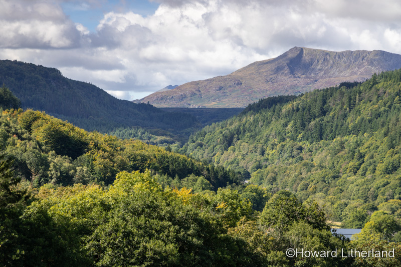 Gwydir forest and Moel Siabod, Snowdonia, North Wales