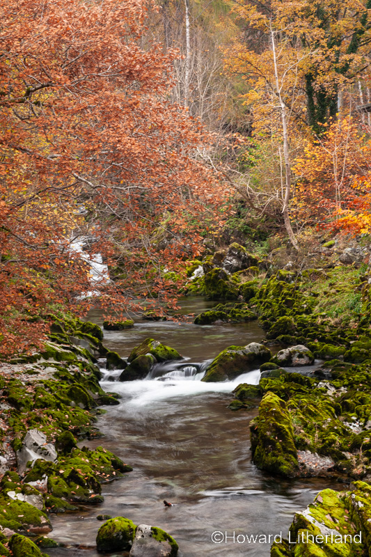 Stream flowing though trees in autumn colours