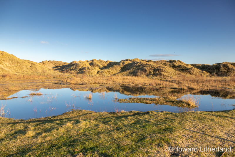 Sand dunes at Talacre beach on the North Wales coast