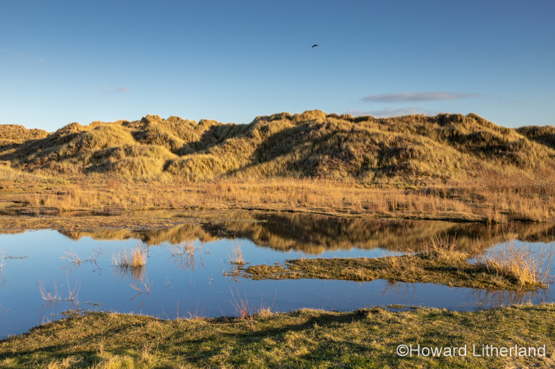 Sand dunes at Talacre beach on the North Wales coast