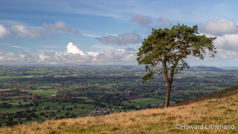 View over the Vale of Clwyd from the Clwydian Range, North Wales