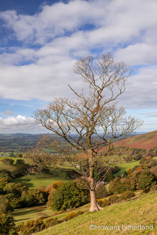View over the Vale of Clwyd from the Clwydian Range, North Wales