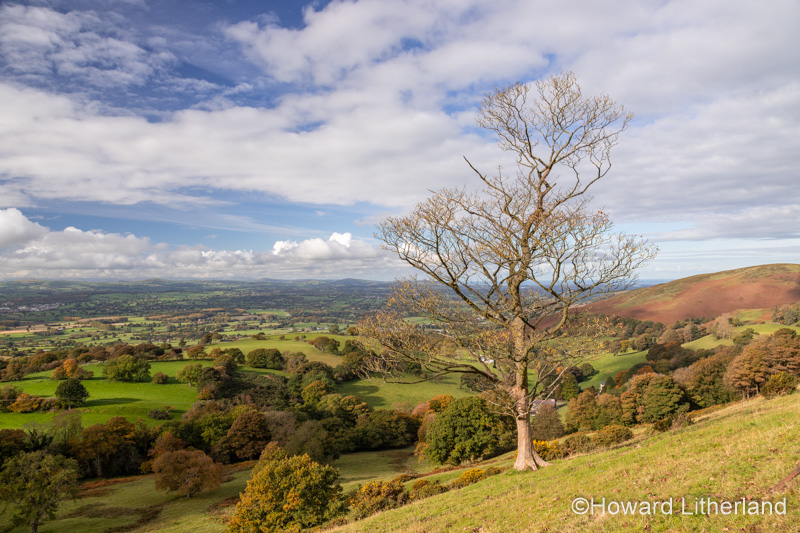 View over the Vale of Clwyd from the Clwydian Range, North Wales