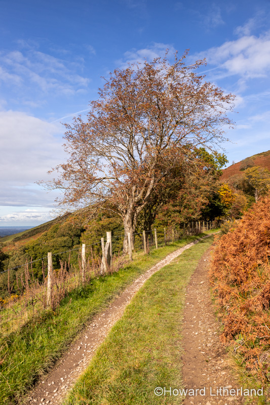 View over the Vale of Clwyd from the Clwydian Range, North Wales
