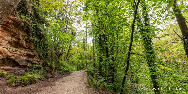 360° Interactive Panorama featuring Wepre Park, Deeside, North Wales