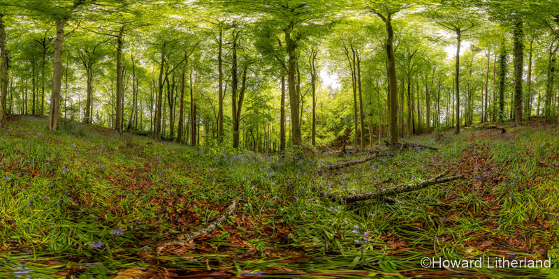 360° Interactive Panorama featuring Wepre Park, Deeside, North Wales