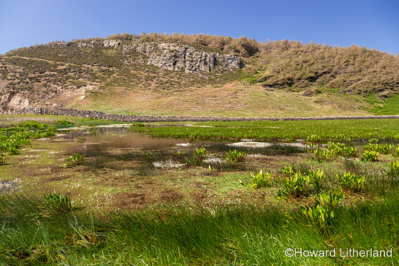 Small lake at Ynys-Y-Fydlyn, Anglesey on the North Wales coast